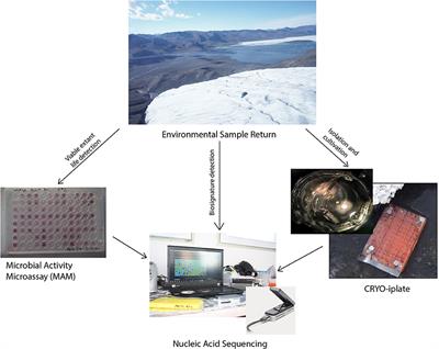 In Situ Field Sequencing and Life Detection in Remote (79°26′N) Canadian High <mark class="highlighted">Arctic Permafrost</mark> Ice Wedge Microbial Communities